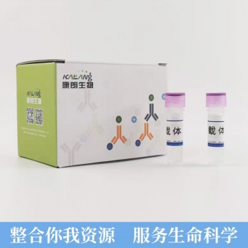 菌株 - 康朗生物官方商城 - 康朗生物-试剂盒,ELISA试剂盒,检测试剂盒 